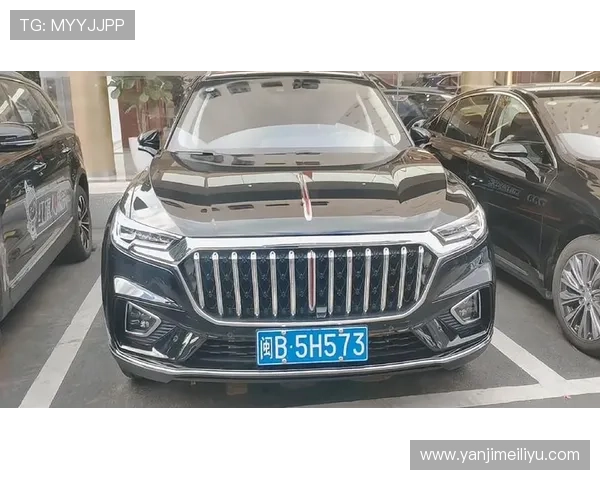 19万没要本田CRV提了红旗HS5，开了870公里，车主一肚子话要说