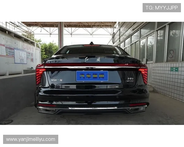 2.0T就很好，全新红旗H5为何让你这么选？看完就知道